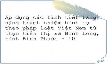 Áp dụng các tình tiết tăng nặng trách nhiệm hình sự theo pháp luật Việt Nam từ thực tiễn thị xã Bình Long, tỉnh Bình Phước - 10