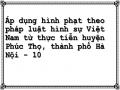 Áp dụng hình phạt theo pháp luật hình sự Việt Nam từ thực tiễn huyện Phúc Thọ, thành phố Hà Nội - 10