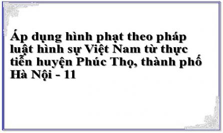 Áp dụng hình phạt theo pháp luật hình sự Việt Nam từ thực tiễn huyện Phúc Thọ, thành phố Hà Nội - 11