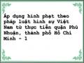 Áp dụng hình phạt theo pháp luật hình sự Việt Nam từ thực tiễn quận Phú Nhuận, thành phố Hồ Chí Minh