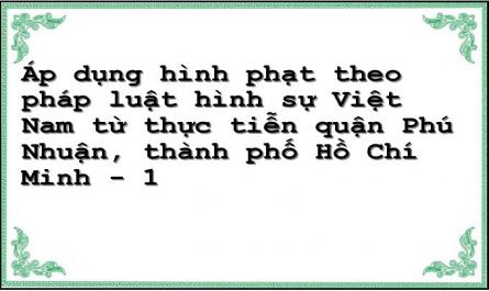 Áp dụng hình phạt theo pháp luật hình sự Việt Nam từ thực tiễn quận Phú Nhuận, thành phố Hồ Chí Minh - 1