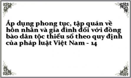 Áp dụng phong tục, tập quán về hôn nhân và gia đình đối với đồng bào dân tộc thiểu số theo quy định của pháp luật Việt Nam - 14