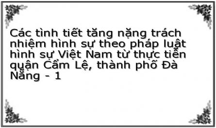 Các tình tiết tăng nặng trách nhiệm hình sự theo pháp luật hình sự Việt Nam từ thực tiễn quận Cẩm Lệ, thành phố Đà Nẵng - 1