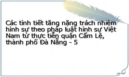 Các tình tiết tăng nặng trách nhiệm hình sự theo pháp luật hình sự Việt Nam từ thực tiễn quận Cẩm Lệ, thành phố Đà Nẵng - 5