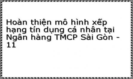 Hoàn thiện mô hình xếp hạng tín dụng cá nhân tại Ngân hàng TMCP Sài Gòn - 11