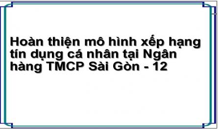 Hoàn thiện mô hình xếp hạng tín dụng cá nhân tại Ngân hàng TMCP Sài Gòn - 12
