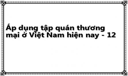 Áp dụng tập quán thương mại ở Việt Nam hiện nay - 12