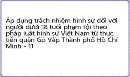 Áp dụng trách nhiệm hình sự đối với người dưới 18 tuổi phạm tội theo pháp luật hình sự Việt Nam từ thực tiễn quận Gò Vấp Thành phố Hồ Chí Minh - 11
