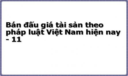 Bán đấu giá tài sản theo pháp luật Việt Nam hiện nay - 11