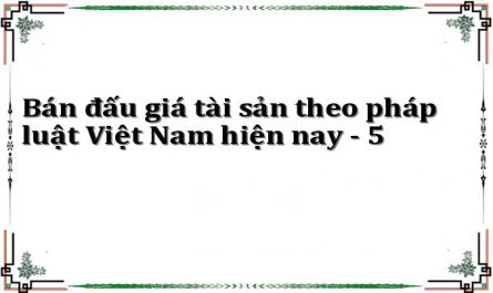 Bán đấu giá tài sản theo pháp luật Việt Nam hiện nay - 5