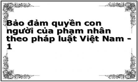 Bảo đảm quyền con người của phạm nhân theo pháp luật Việt Nam - 1