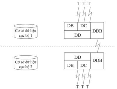 Hình 1 25 Các thành phần của DDBMS thương mại hóa Sử dụng thuật ngữ hệ 3