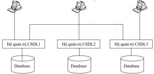 Hình 1 29 Kiến trúc mô hình hệ quản trị CSDL không đồng nhất Mặc dù các 7