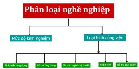 Hình 1 3 Phân loại nghề nghiệp 1 4 1 Mức độ kinh nghiệm 1 Sơ cấp Nhân viên 3