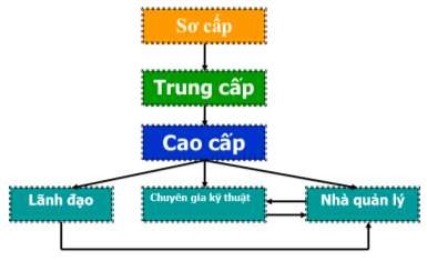Hình 1 4 Mối liên hệ của con đường nghề nghiệp cho các mức khác nhau 1 4 2 4