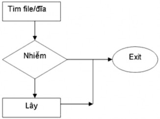 Như đã giới thiệu về định nghĩa virus đoạn mã này một lúc nào đó phải 2