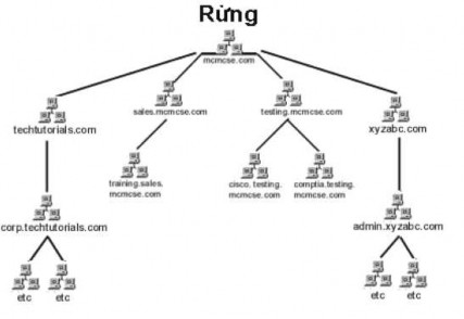 Hình 1 78 Mô hình Forests Trong ví dụ trên công ty mcmcse com kết hợp với 1