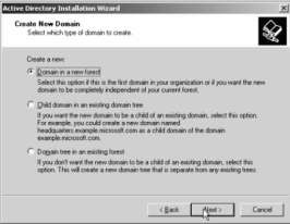 Dựng Hình 1 83 Lựa chọn cách tạo miền Hộp thoại New Domain Name yêu cầu tên 6