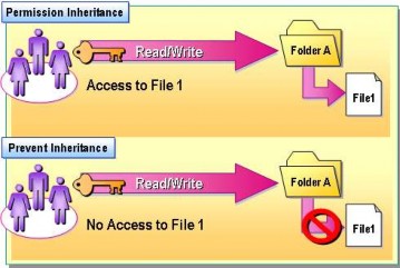 Hình 2 102 Mô hình thừa kế quyền truy nhập Thừa kế các quyền Bất cứ 3
