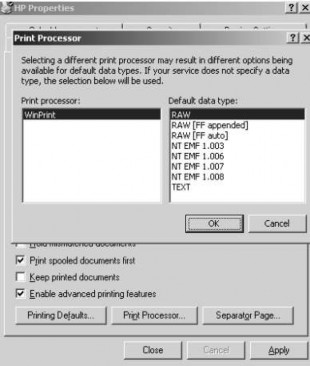 Hình 3 13 Hộp thoại Print Processor Bảng danh sách các kiểu dữ liệu được bộ 6