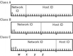 Hình 1 23 Cấu trúc địa chỉ IP c Subnet và Subnet Mark Hãy xem xét trường hợp 3