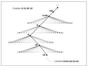 Hình 3 46 Reverse Lookup Zone Lưu ý khi đọc tên miền địa chỉ IP sẽ xuất hiện 1