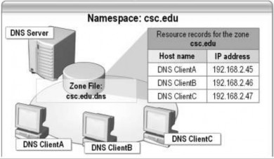 Hình 3 55 Cơ sở dữ liệu a SOA Start of Authority Trong mỗi tập tin CSDL phải có 10