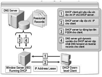 Hình 3 50 DHCP server cập nhật dynamic update g Active Directory integrated zone Sử dụng 5