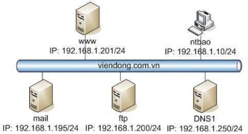 Hướng dẫn Cài đặt thêm dịch vụ DNS từ Windows Components Trong Forward Lookup 5