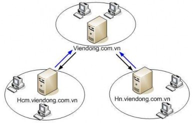 Hướng dẫn Thực hiện ủy quyền trên máy DNS Server quản lý miền viendong com vn 8