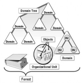 Hình 1 72 Kiến trúc của Active Directory 3 Miền Domain Domain là đơn vị chức 4