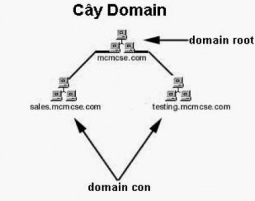 Hình 1 77 Mô hình Domain tree 9
