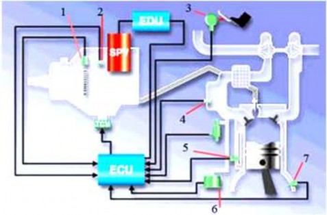 Hình 2 103 Vị trí các cảm biến trong hệ thống nhiên liệu EFI diesel thông 1