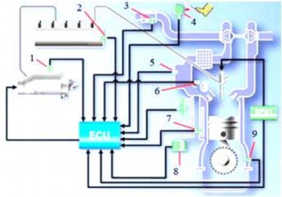 Hình 2 104 Vị trí các cảm biến trong hệ thống nhiên liệu EFI diesel ống phân 2