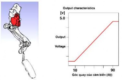 Hình 2 105 Cảm biến vị trí bàn đạp ga Có hai kiểu cảm biến bàn đạp Một 3