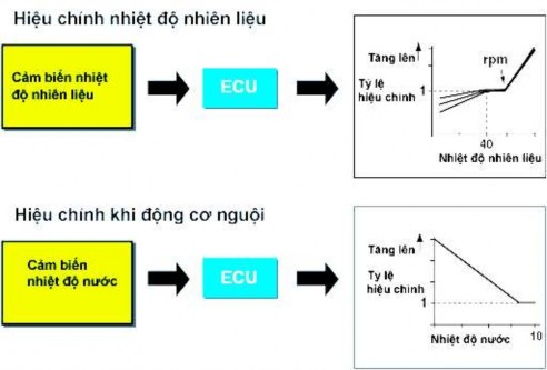 Hình 2 129 ECU hiệu chỉnh nhiệt độ nhiên liệu Điều chỉnh nhiệt độ nhiên 4