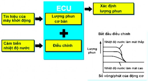 Hình 2 134 Điều khiển phun khi khởi động Lượng phun khi khởi động được xác 1