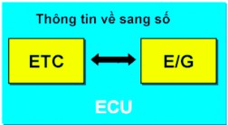 Hình 2 140 Điều khiển ECT Hình 2 141 Điều khiển bugi sấy d Điều khiển bộ 6