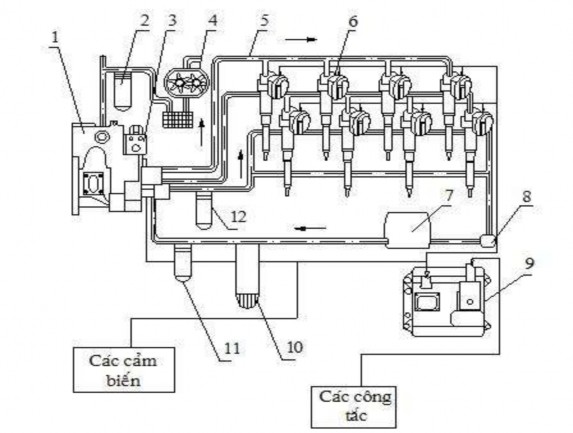 Hình 1 7 Hệ thống nhiên liệu HEUI 1 Bơm cao áp 2 Lọc dầu bôi trơn 3 Van 3