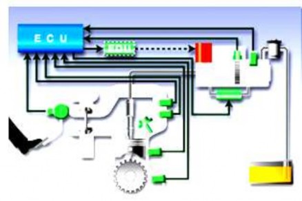 Hình 2 8 Sơ đồ điều khiển của EFI diesel thông thường Các cảm biến ECU Bộ 5