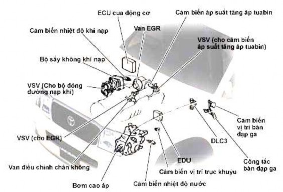 Hình 2 9 Sơ đồ bố trí các bộ phận của EFI diesel thông thường 1 Bơm VE 6