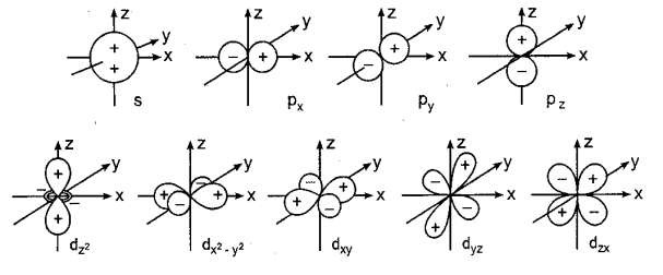 Hình 1 3 Hình dạng và sự định hướng các AO s p và d Số lượng tử từ m 2