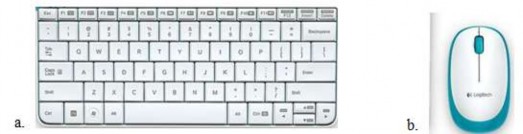 Hình 1 20 a Bàn phím b Chuột 1 5 Biểu diễn thông tin trong máy tính 1 5 1 Các 4