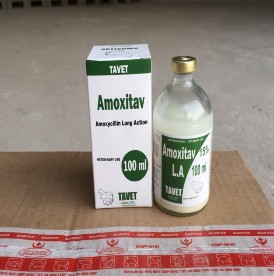 Ảnh 3 ThuốcAmoxitav Ảnh 4 Thuốc Oxitocin Ảnh 5 Thuốc han tophan Ảnh 6 vitamina 3