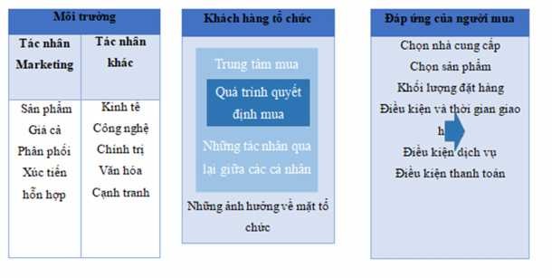 Nguồn Giáo trình quản trị Marketing 2015 Sơ đồ 2 1 Mô hình hành vi mua của 1