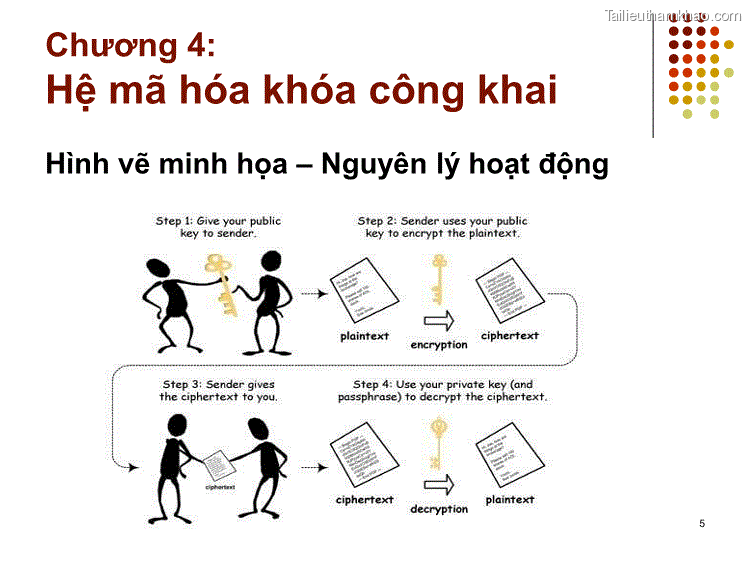 Hình Vẽ Minh Họa – Nguyên Lý Hoạt Động