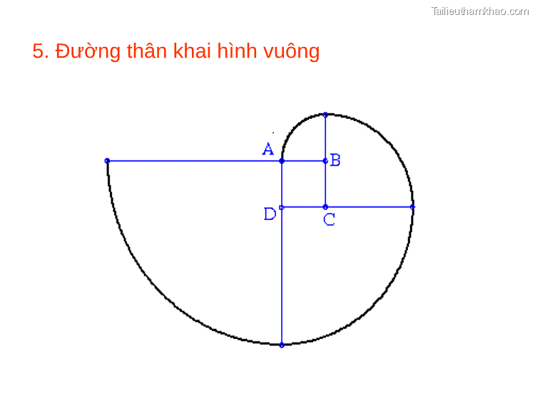 R2 R7 36 Ø40 B 55 Ø36 Ø26 2Loå 6 D Ø30 Ø14 56 110 60 5 Đường Thân Khai