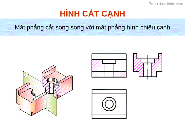 Mặt Phẳng Cắt Song Song Với Mặt Phẳng Hình Chiếu Bằng