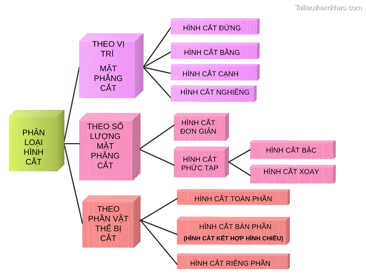 Hãy Chọn Hình Cắt Đúng A B C Đúng D