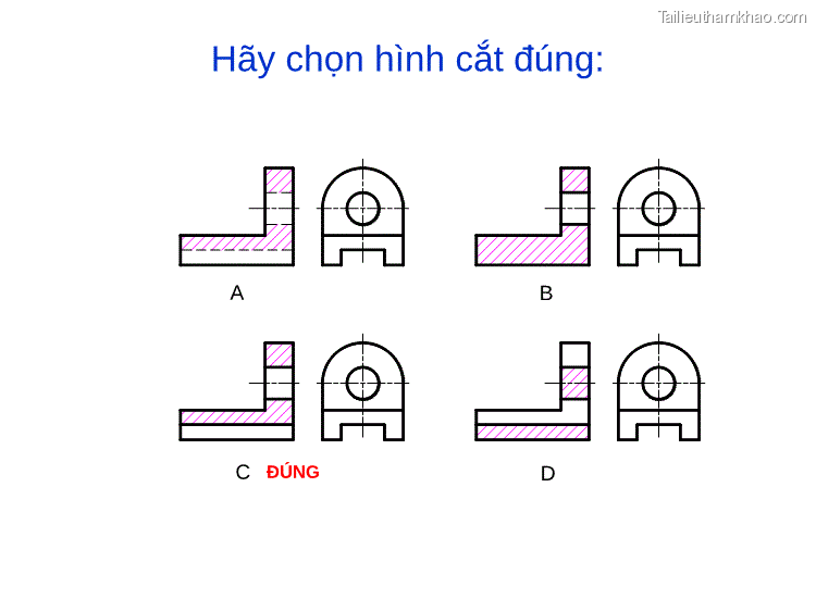 Hãy Chọn Hình Cắt Bán Phần Đúng A B C Đúng D